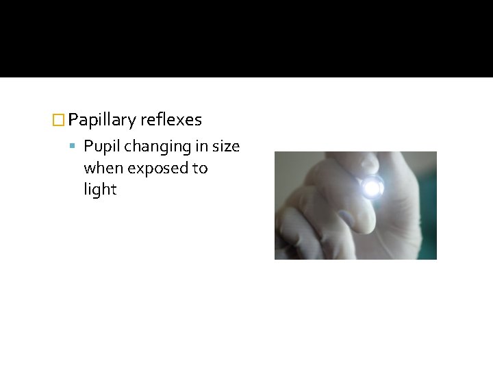 � Papillary reflexes Pupil changing in size when exposed to light 