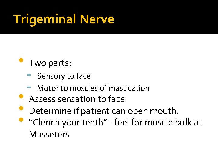 Trigeminal Nerve • Two parts: - Sensory to face Motor to muscles of mastication