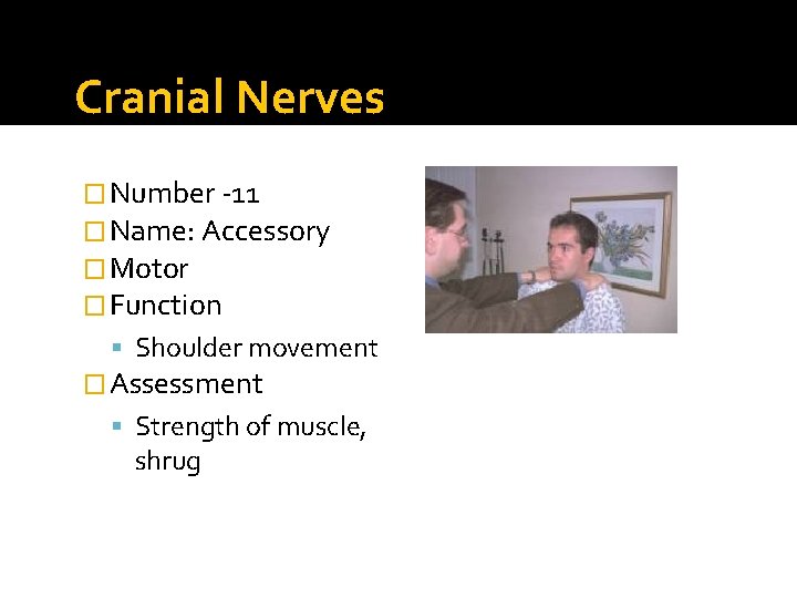 Cranial Nerves � Number -11 � Name: Accessory � Motor � Function Shoulder movement
