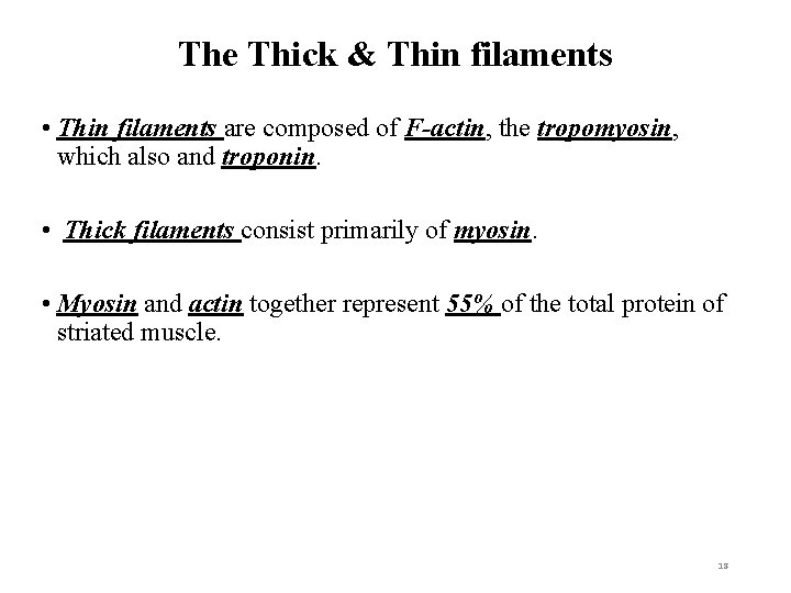 The Thick & Thin filaments • Thin filaments are composed of F-actin, the tropomyosin,