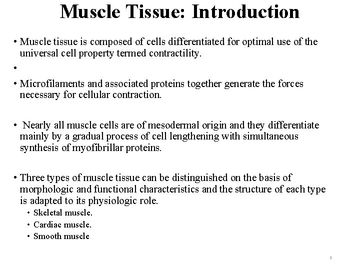 Muscle Tissue: Introduction • Muscle tissue is composed of cells differentiated for optimal use