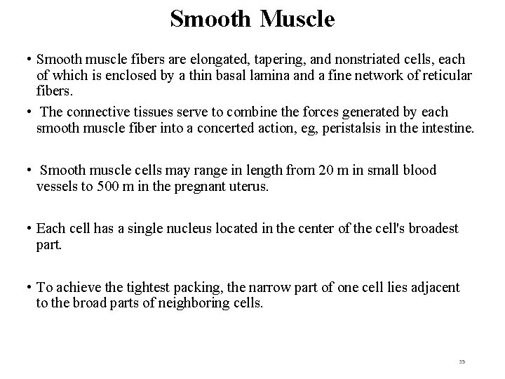 Smooth Muscle • Smooth muscle fibers are elongated, tapering, and nonstriated cells, each of