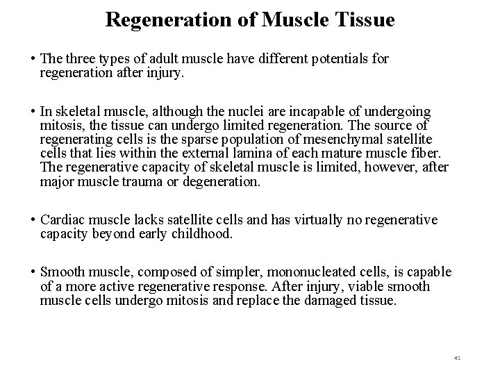 Regeneration of Muscle Tissue • The three types of adult muscle have different potentials