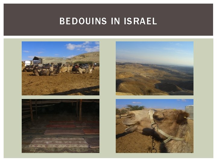 BEDOUINS IN ISRAEL 