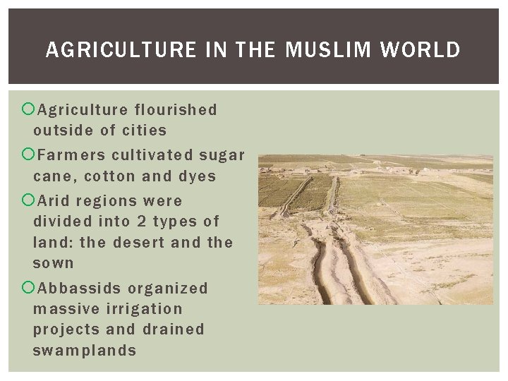 AGRICULTURE IN THE MUSLIM WORLD Agriculture flourished outside of cities Farmers cultivated sugar cane,