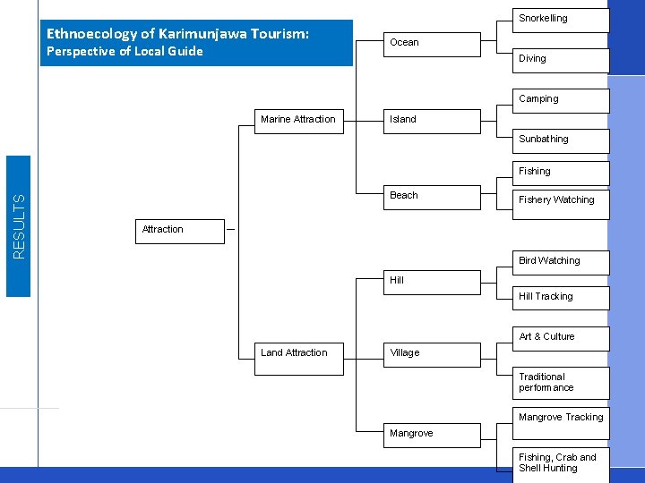 Ethnoecology of Karimunjawa Tourism: Perspective of Local Guide Snorkelling Ocean Diving Camping Marine Attraction