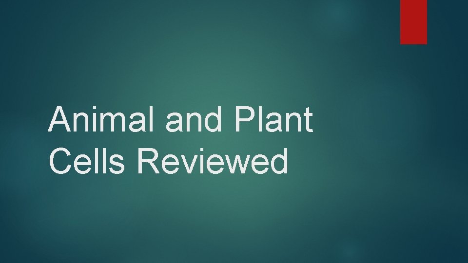 Animal and Plant Cells Reviewed 