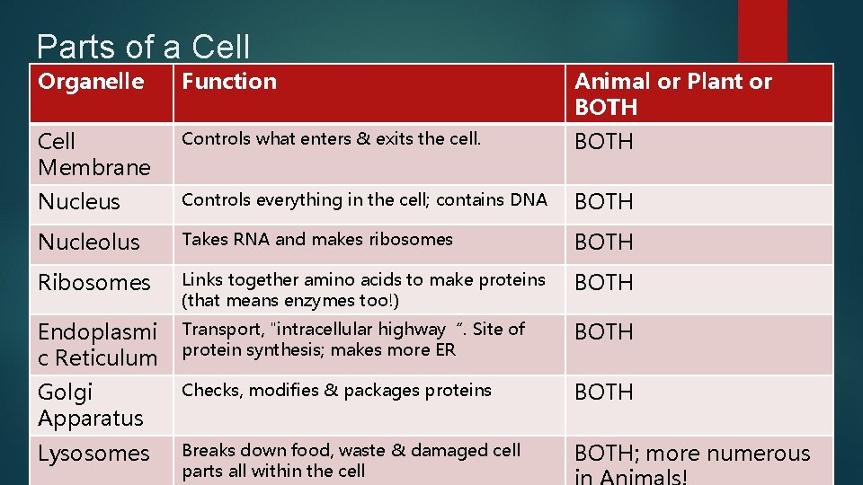 Parts of a Cell Organelle Function Animal or Plant or BOTH Cell Membrane Controls