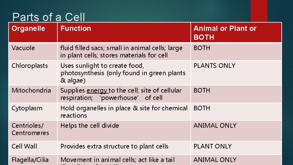 Parts of a Cell Organelle Function Animal or Plant or BOTH Vacuole fluid filled
