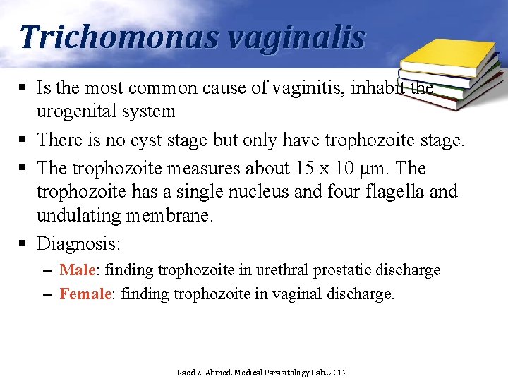Trichomonas vaginalis § Is the most common cause of vaginitis, inhabit the urogenital system