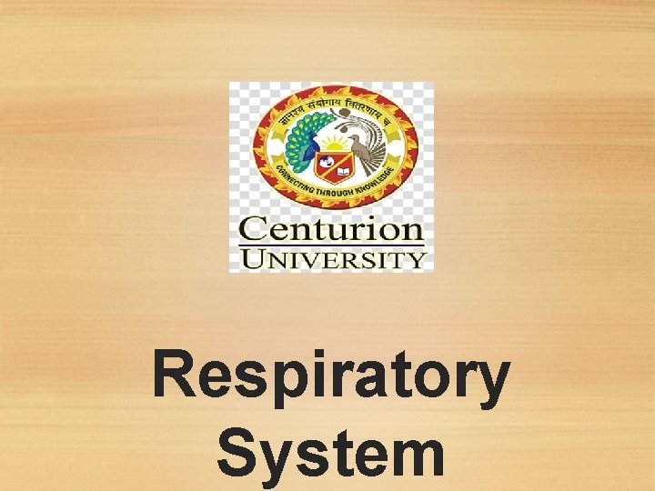 Respiratory System 