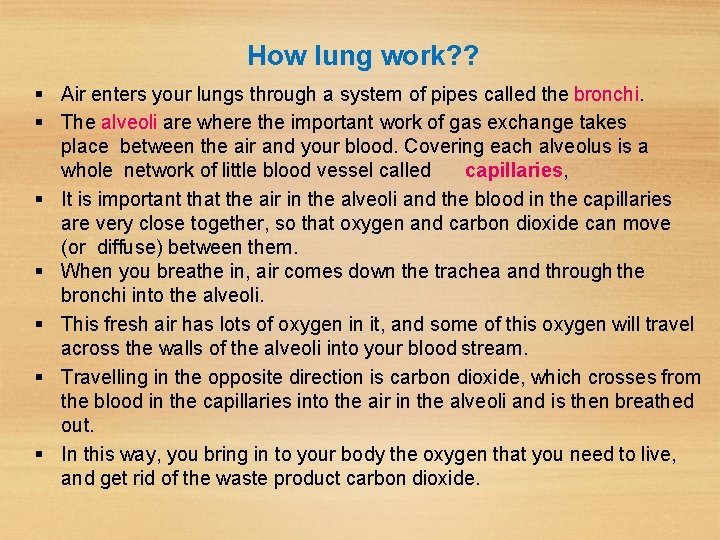 How lung work? ? Air enters your lungs through a system of pipes called