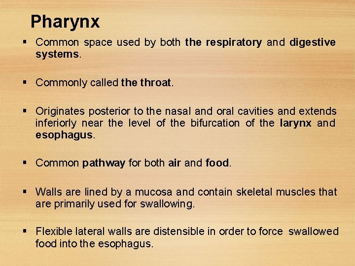 Pharynx Common space used by both the respiratory and digestive systems. Commonly called the