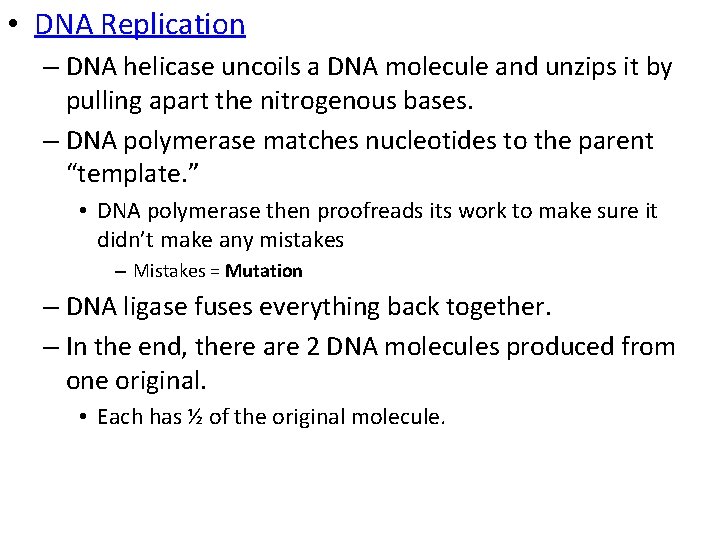  • DNA Replication – DNA helicase uncoils a DNA molecule and unzips it
