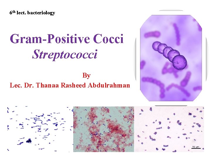 6 th lect. bacteriology Gram-Positive Cocci Streptococci By Lec. Dr. Thanaa Rasheed Abdulrahman 