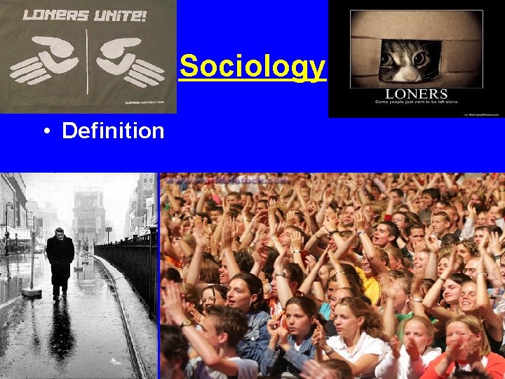 Sociology • Definition 