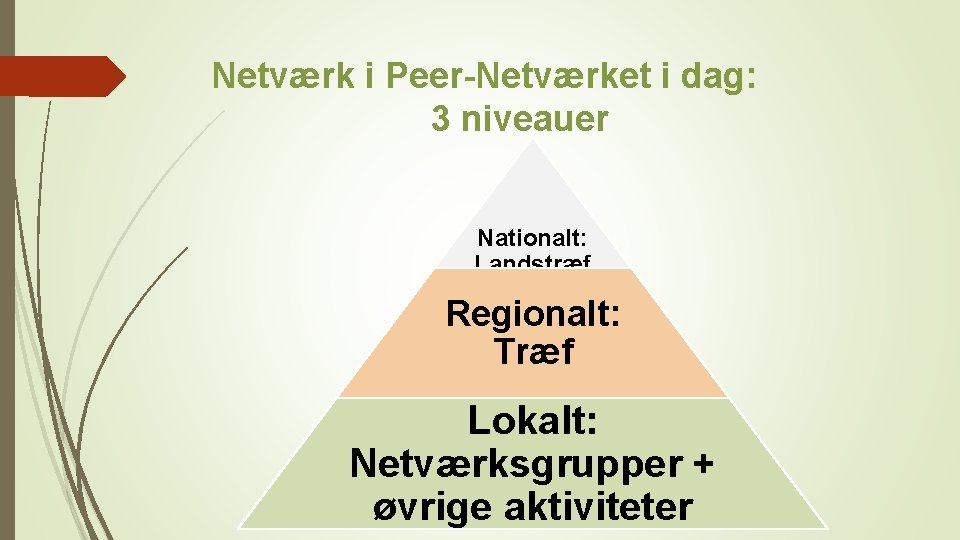 Netværk i Peer-Netværket i dag: 3 niveauer Nationalt: Landstræf Regionalt: Træf Lokalt: Netværksgrupper +