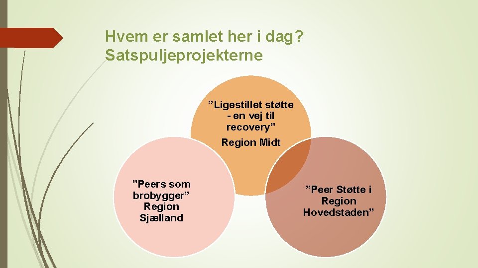 Hvem er samlet her i dag? Satspuljeprojekterne ”Ligestillet støtte - en vej til recovery”