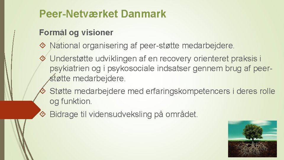 Peer-Netværket Danmark Formål og visioner National organisering af peer-støtte medarbejdere. Understøtte udviklingen af en