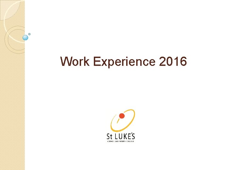 Work Experience 2016 