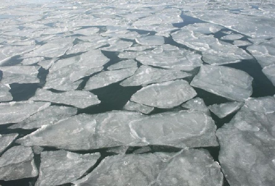 Los canales de Venecia se han congelado por las bajas temperaturas 