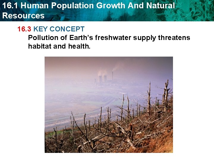16. 1 Human Population Growth And Natural Resources 16. 3 KEY CONCEPT Pollution of
