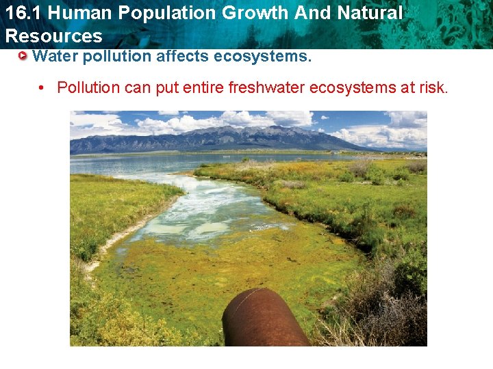 16. 1 Human Population Growth And Natural Resources Water pollution affects ecosystems. • Pollution