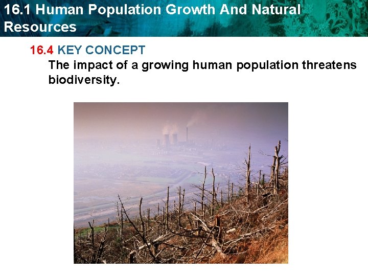 16. 1 Human Population Growth And Natural Resources 16. 4 KEY CONCEPT The impact