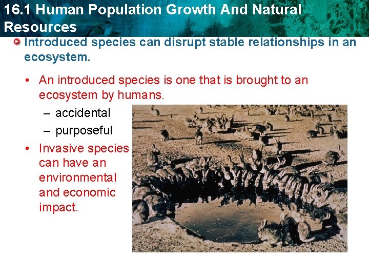 16. 1 Human Population Growth And Natural Resources Introduced species can disrupt stable relationships