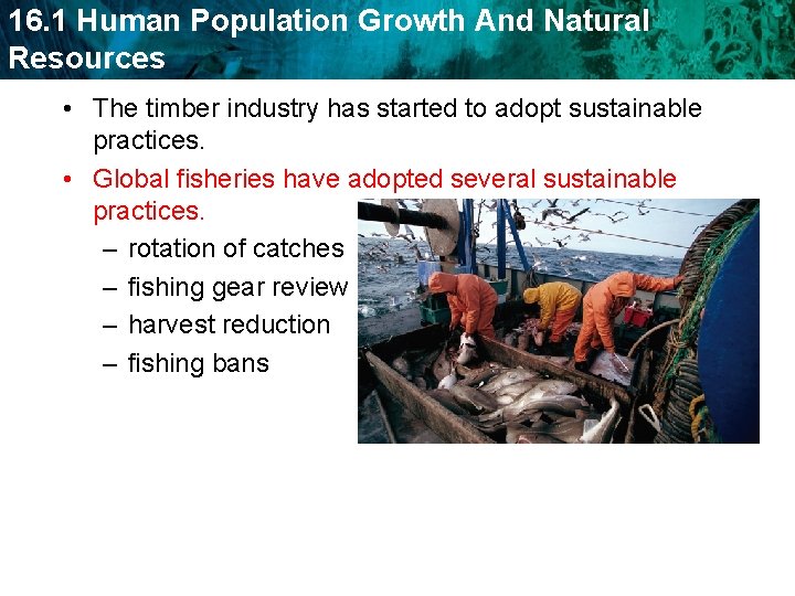 16. 1 Human Population Growth And Natural Resources • The timber industry has started
