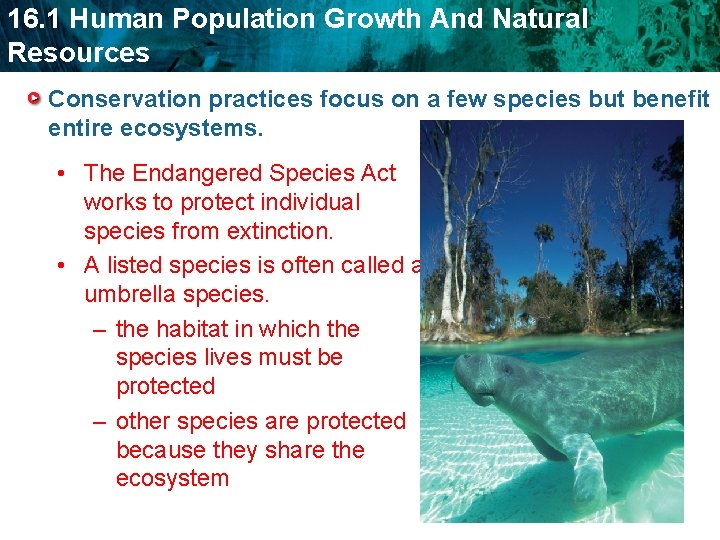 16. 1 Human Population Growth And Natural Resources Conservation practices focus on a few