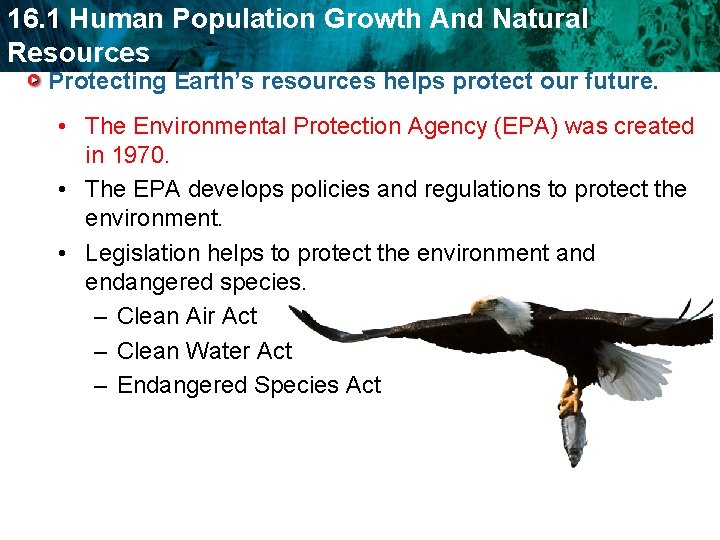 16. 1 Human Population Growth And Natural Resources Protecting Earth’s resources helps protect our