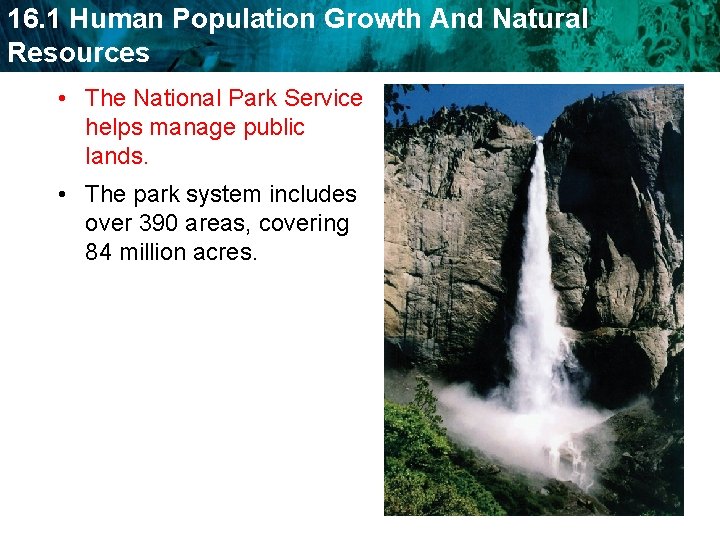 16. 1 Human Population Growth And Natural Resources • The National Park Service helps