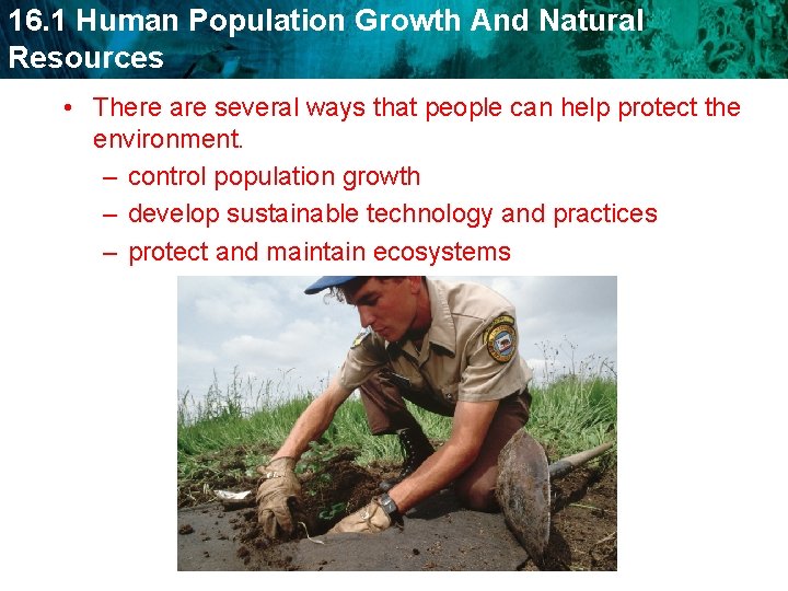 16. 1 Human Population Growth And Natural Resources • There are several ways that