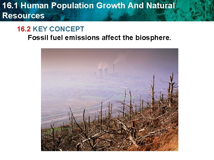 16. 1 Human Population Growth And Natural Resources 16. 2 KEY CONCEPT Fossil fuel
