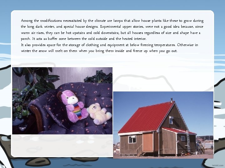 Among the modifications necessitated by the climate are lamps that allow house plants like