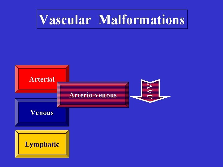 Vascular Malformations Arterial Venous Lymphatic AVF Arterio-venous Vascular Malformations Arterial Venous Lymphatic AVF Arterio-venous