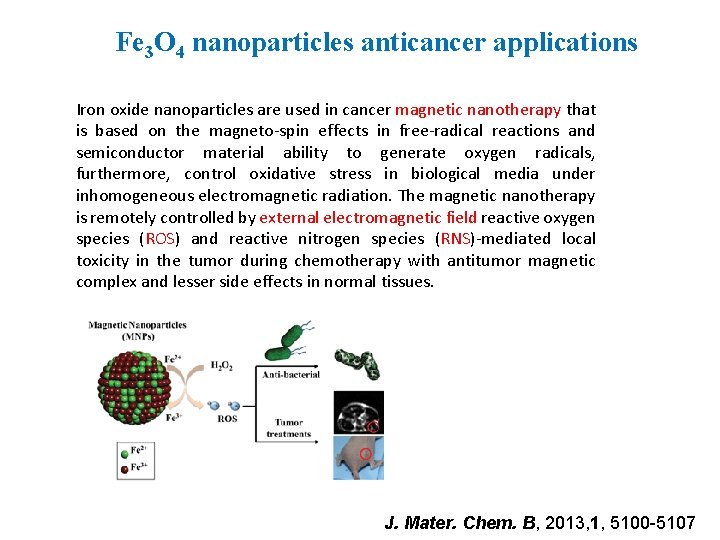 Precipitation of magnetite Fe 3 O 4 nanoparticles