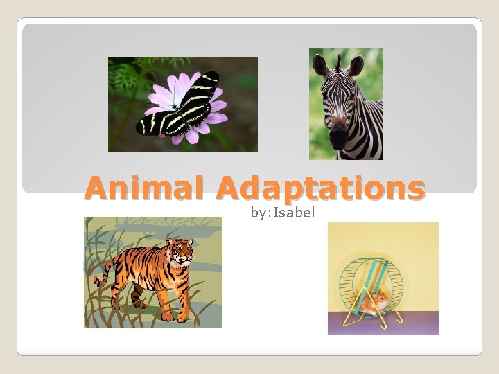 Animal Adaptations by: Isabel 