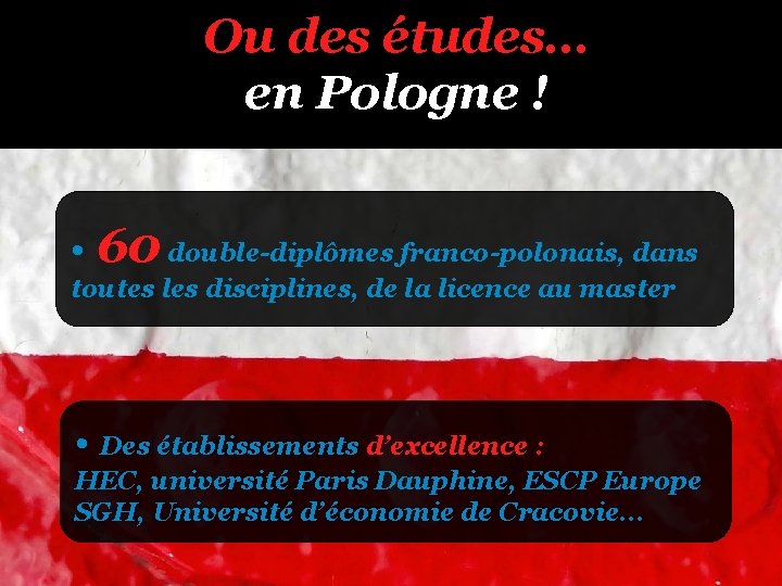 Ou des études… en Pologne ! • 60 double-diplômes franco-polonais, dans toutes les disciplines,