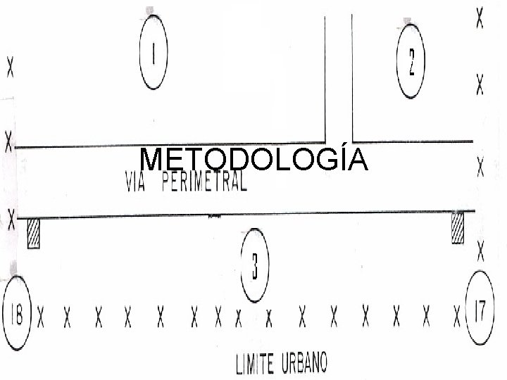 METODOLOGÍA 