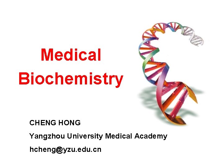 Medical Biochemistry CHENG HONG Yangzhou University Medical Academy hcheng@yzu. edu. cn 