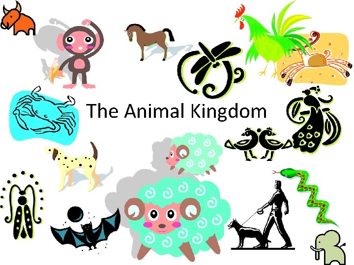 The Animal Kingdom 