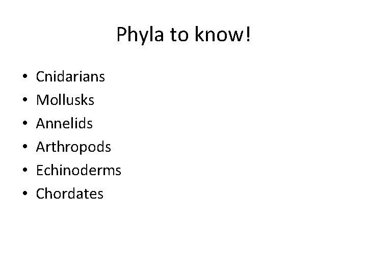 Phyla to know! • • • Cnidarians Mollusks Annelids Arthropods Echinoderms Chordates 