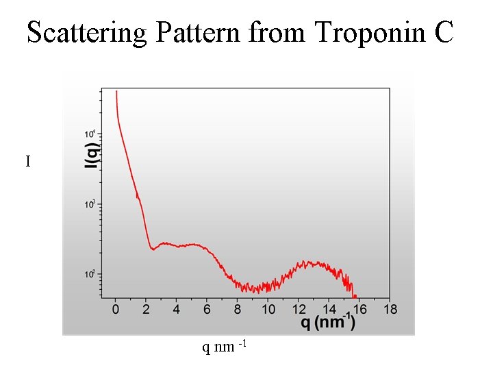 Scattering Pattern from Troponin C I q nm -1 