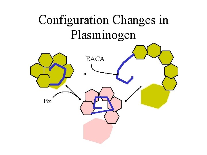 Configuration Changes in Plasminogen EACA Bz 