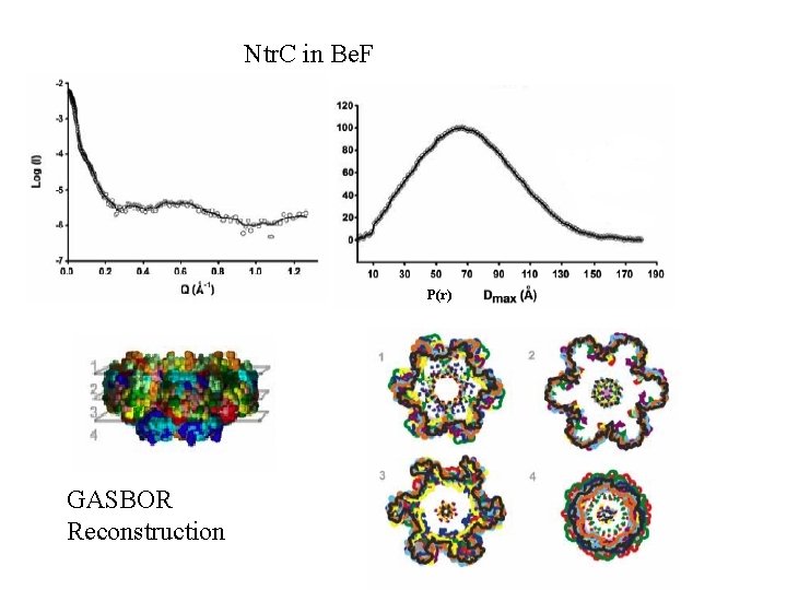 Ntr. C in Be. F P(r) GASBOR Reconstruction 