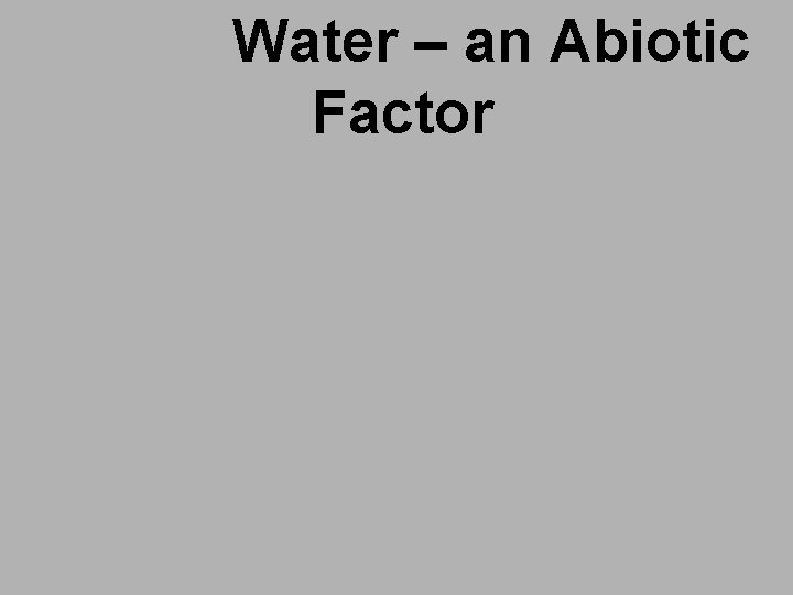 Water – an Abiotic Factor 
