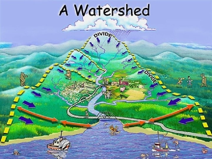 Drainage Basin / Watershed • Watershed - The land where water runs off into