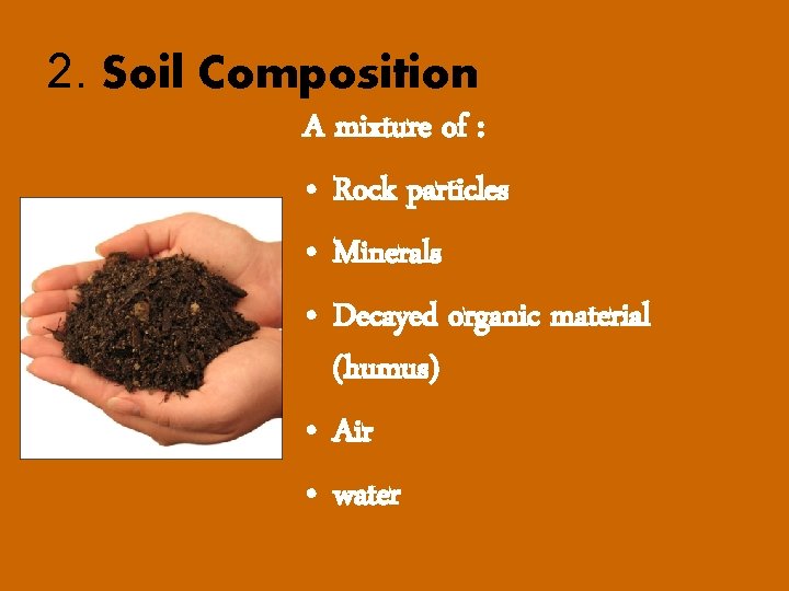 2. Soil Composition A mixture of : • Rock particles • Minerals • Decayed